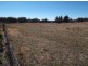 1377 Eukey Road, Stanthorpe QLD 4380