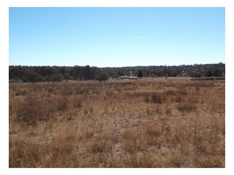 1377 Eukey Road, Stanthorpe QLD 4380