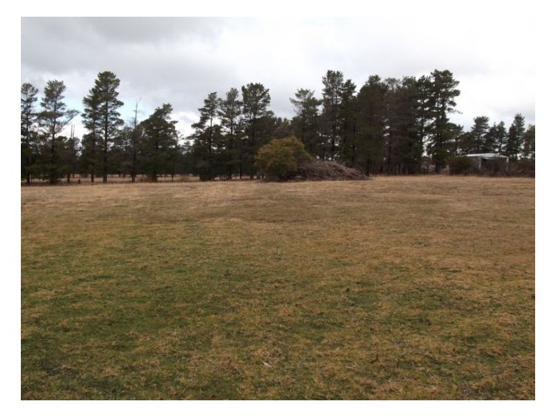 57 Hale Haven Drive, Stanthorpe QLD 4380