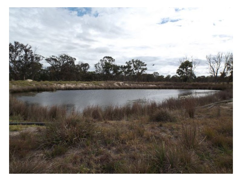 134 Barnes Road, Stanthorpe QLD 4380