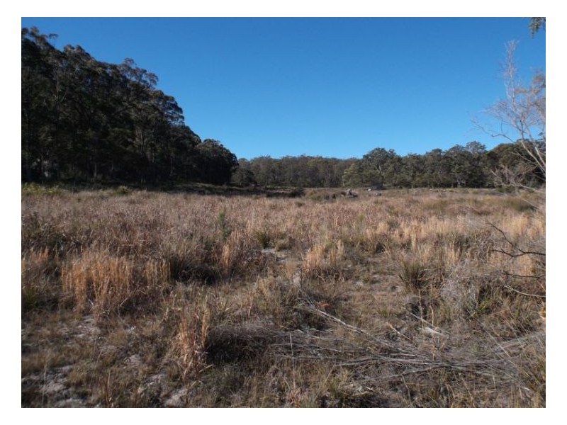 1 Kerrick Road, Dalveen QLD 4374