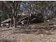 Pozieres QLD 4352