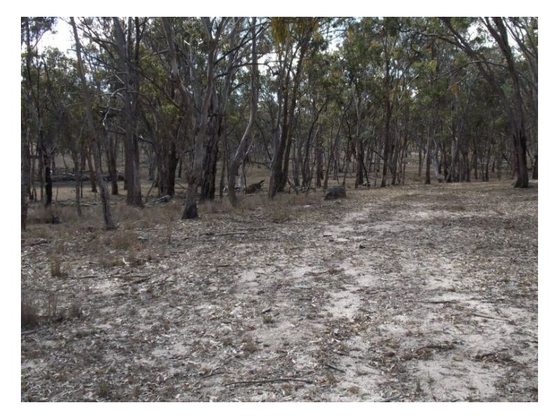Pozieres QLD 4352