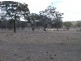 Pozieres QLD 4352