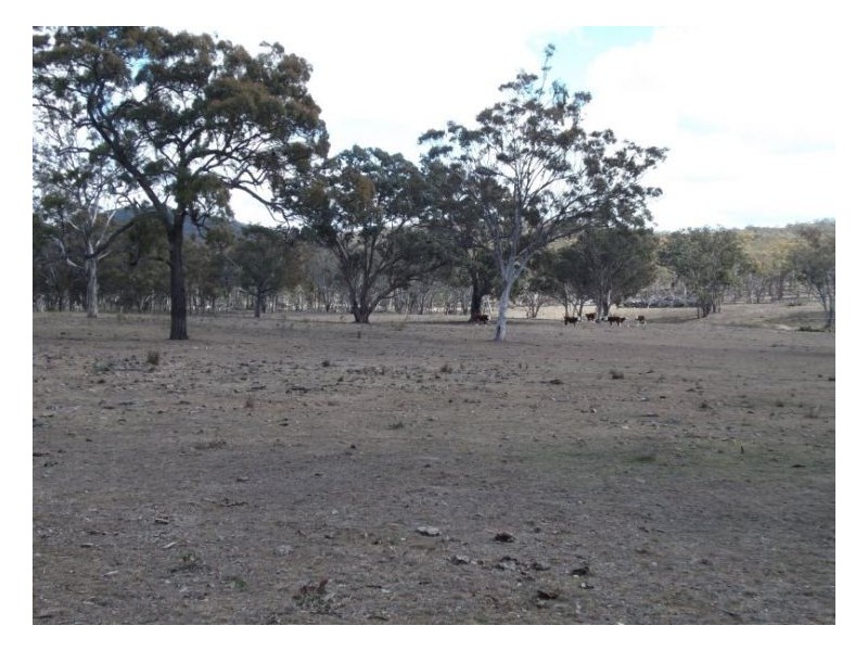Pozieres QLD 4352