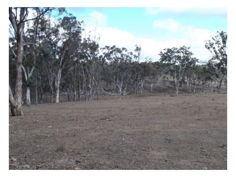 Pozieres QLD 4352