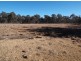 Wallangarra QLD 4383