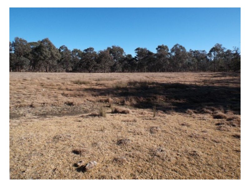 Wallangarra QLD 4383