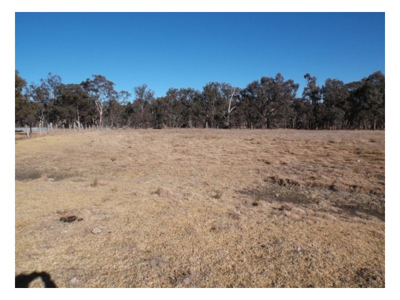 Wallangarra QLD 4383