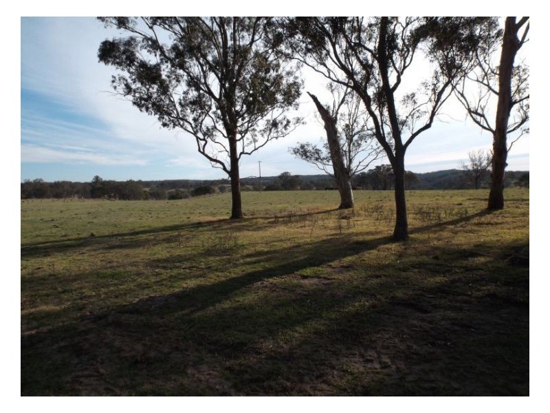Stanthorpe QLD 4380
