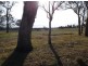 Stanthorpe QLD 4380