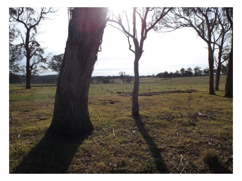 Stanthorpe QLD 4380