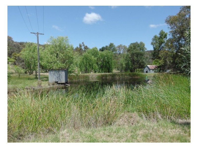 2139 Pyramids Road, Stanthorpe QLD 4380