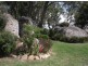 132 Pozieres School Road, Stanthorpe QLD 4380
