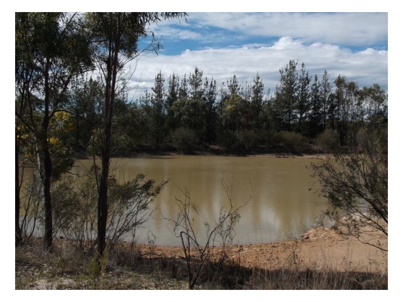 1008a Nundubbermere Road, Stanthorpe QLD 4380