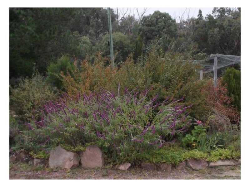 1008a Nundubbermere Road, Stanthorpe QLD 4380