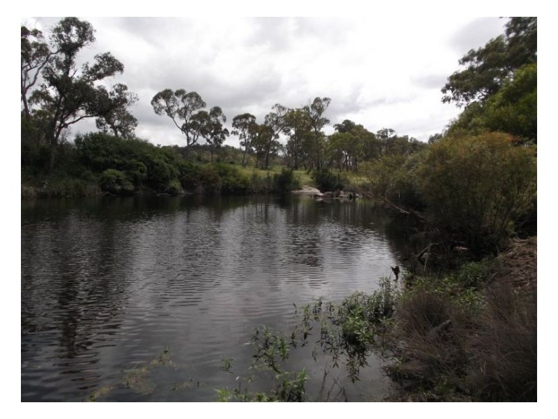 17 Miners Lane, Stanthorpe QLD 4380