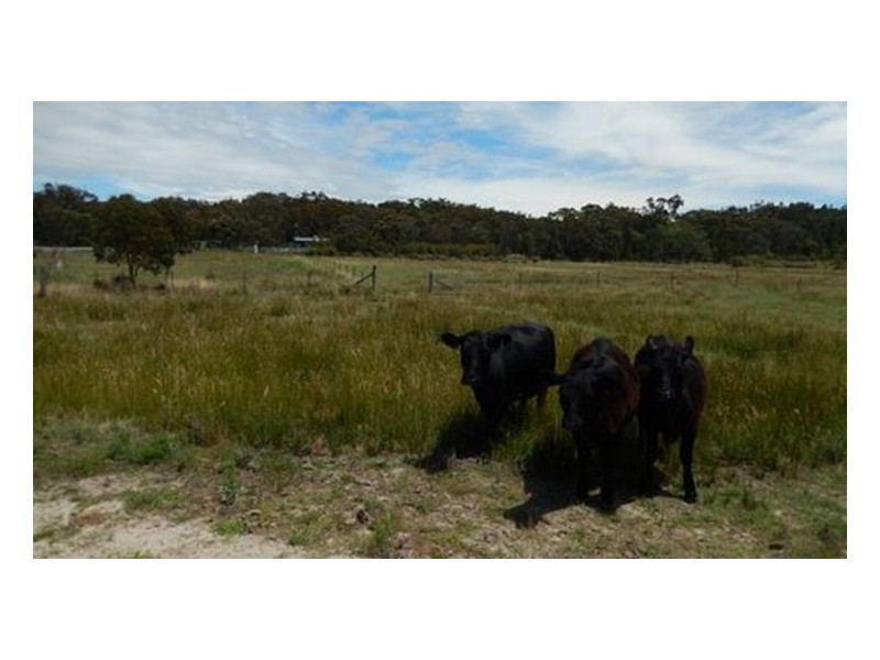 697 Donnellys Castle Road, Stanthorpe QLD 4380