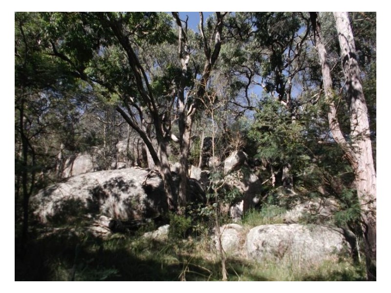 697 Donnellys Castle Road, Stanthorpe QLD 4380