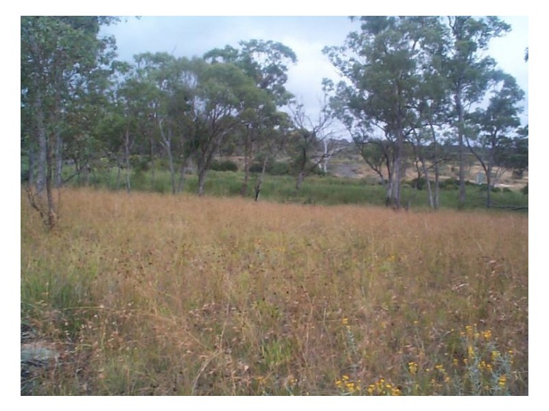 27033 New England Highway, Stanthorpe QLD 4380