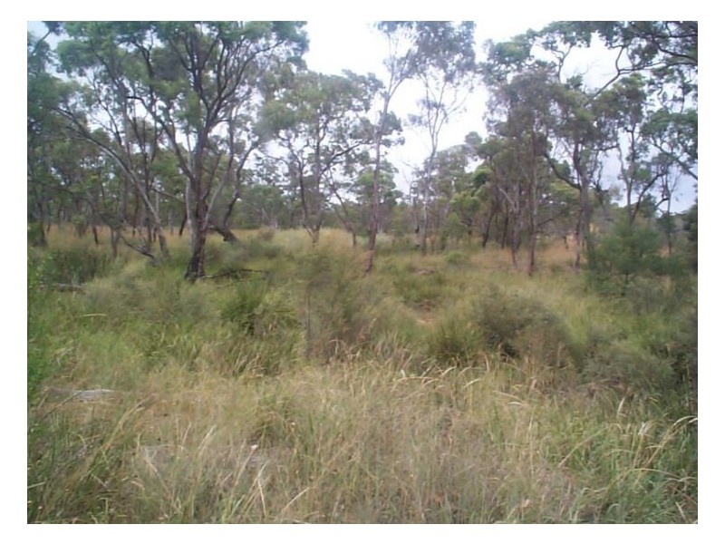 27033 New England Highway, Stanthorpe QLD 4380