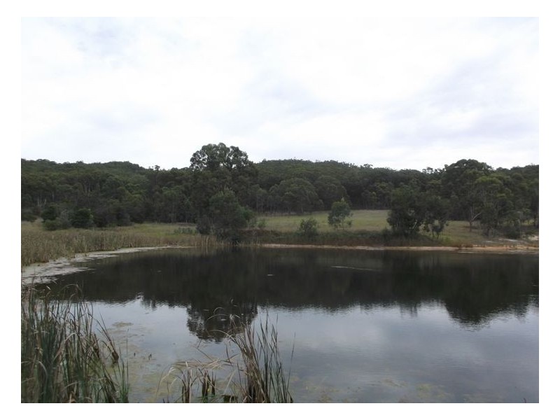 2533 Cullendore Road, Stanthorpe QLD 4380