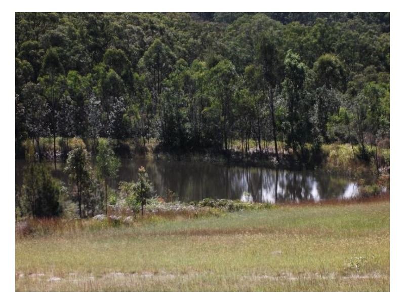 2533 Cullendore Road, Stanthorpe QLD 4380