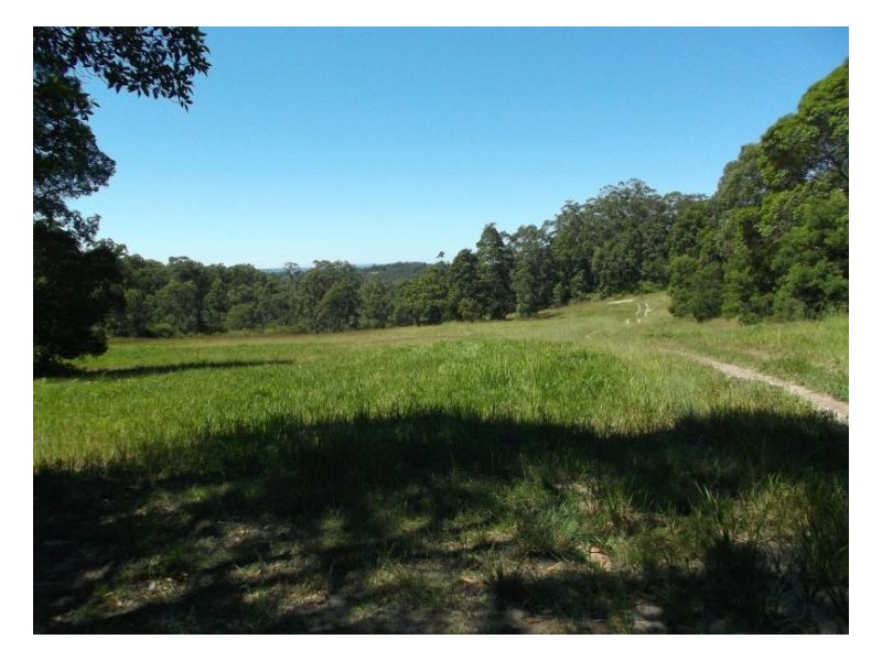 2533 Cullendore Road, Stanthorpe QLD 4380