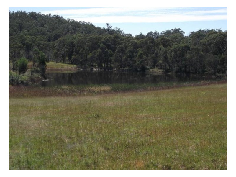 2533 Cullendore Road, Stanthorpe QLD 4380