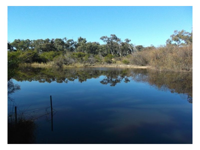 74 Cala Lane, Glen Aplin QLD 4381