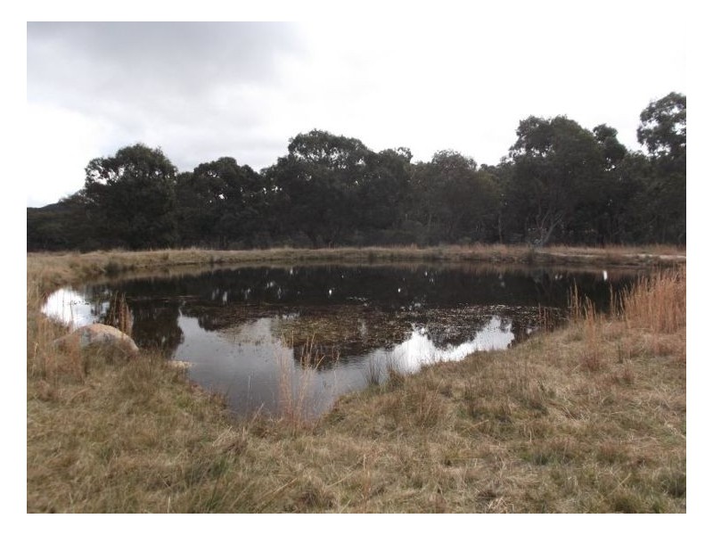 01 Gillbard Road, Stanthorpe QLD 4380