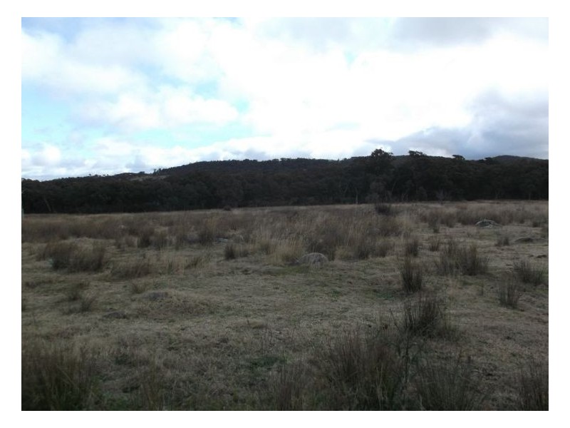 01 Gillbard Road, Stanthorpe QLD 4380