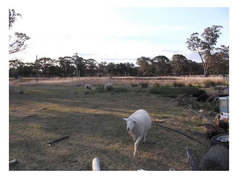 54 Curtin Road, Stanthorpe QLD 4380