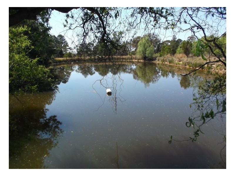 25555 New England Highway, Stanthorpe QLD 4380