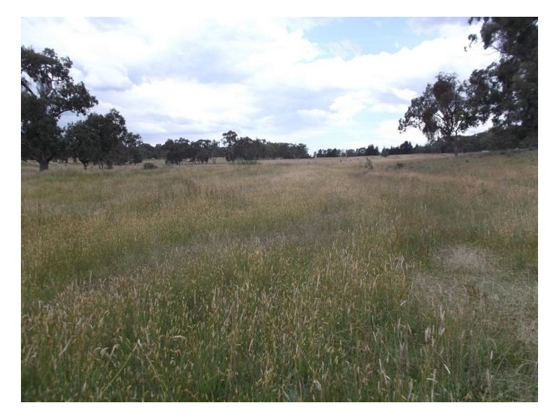 Stanthorpe QLD 4380