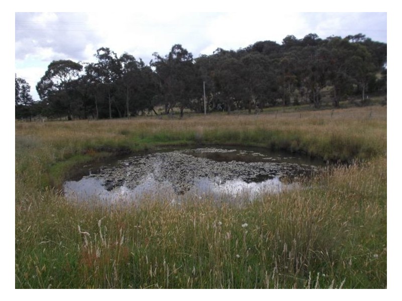 Stanthorpe QLD 4380