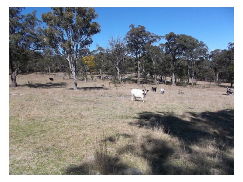 Lot 7 Sorrento Road, Dalveen QLD 4374