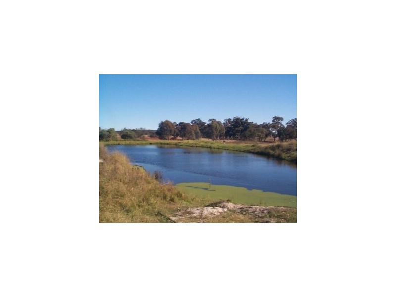 277 Granite Belt Drive, Thulimbah QLD 4376