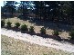 Severnlea QLD 4352