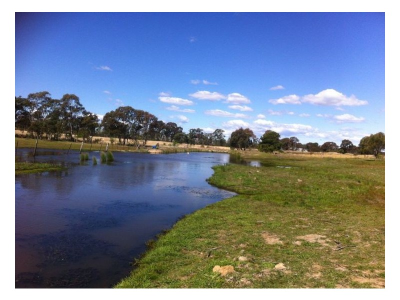 373 Pozieres Road, Stanthorpe QLD 4380