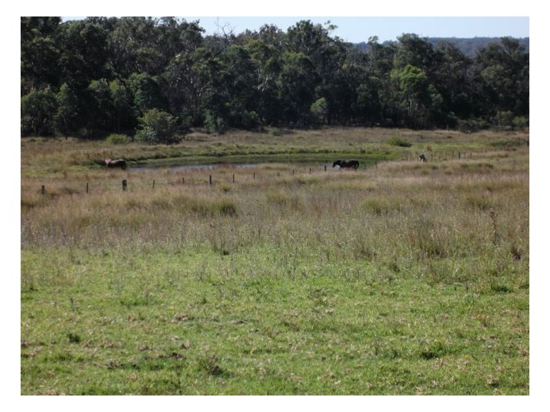 205 Ridge Road, Stanthorpe QLD 4380