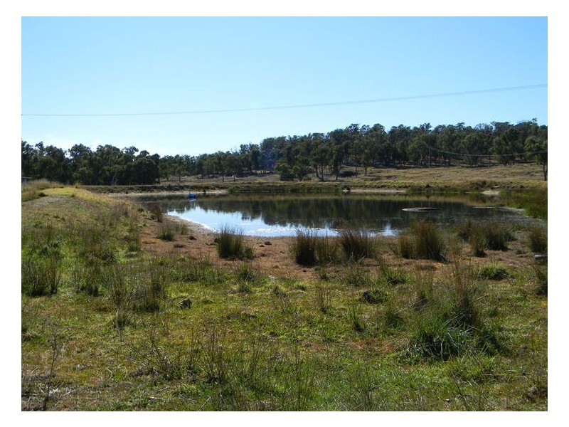 Lot 619 Eukey Road, Stanthorpe QLD 4380