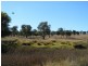 Lot 619 Eukey Road, Stanthorpe QLD 4380