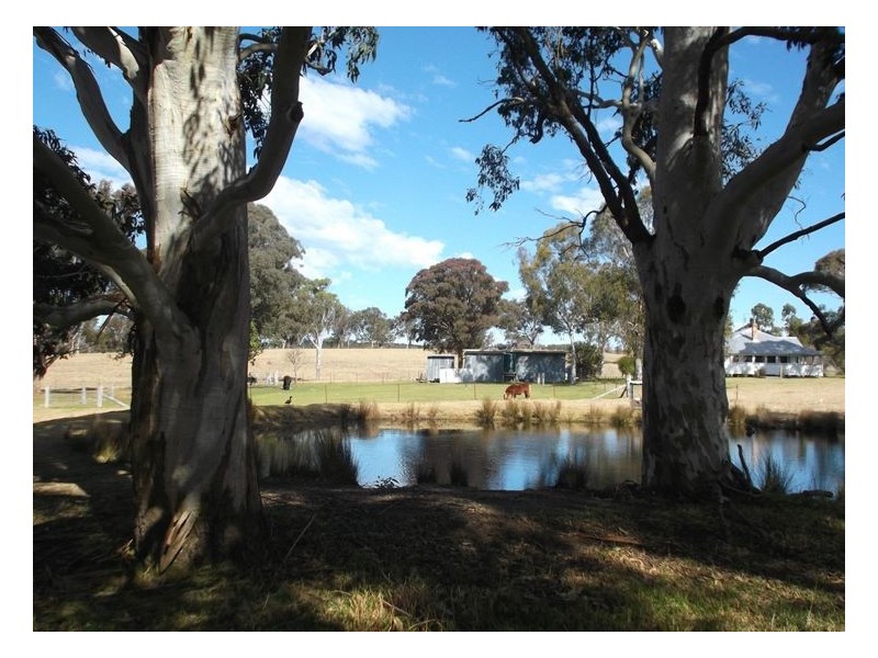 5212 Mount Lindesay Road, Liston NSW 2372