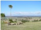 Rear 253 Swanfels Road, Yangan QLD 4371