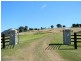 Rear 253 Swanfels Road, Yangan QLD 4371