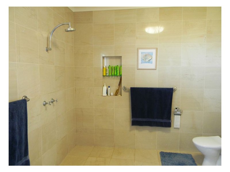 Rear 253 Swanfels Road, Yangan QLD 4371