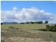 Rear 253 Swanfels Road, Yangan QLD 4371