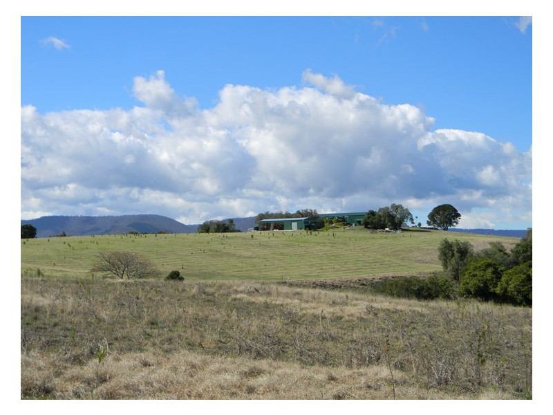 Rear 253 Swanfels Road, Yangan QLD 4371