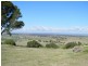 Rear 253 Swanfels Road, Yangan QLD 4371